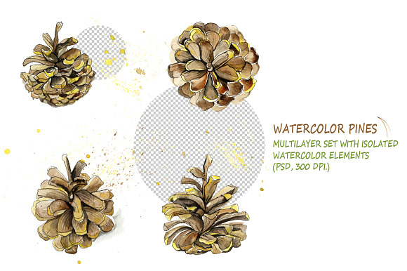 Watercolor pine cones kit in Illustrations - product preview 3