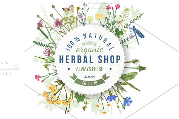 Meadow herbs and flowers in Illustrations - product preview 1