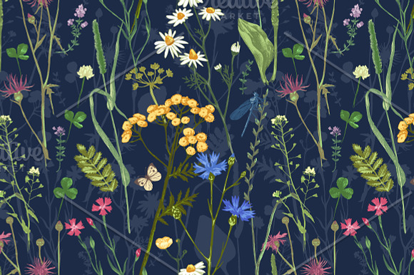 Meadow herbs and flowers in Illustrations - product preview 2