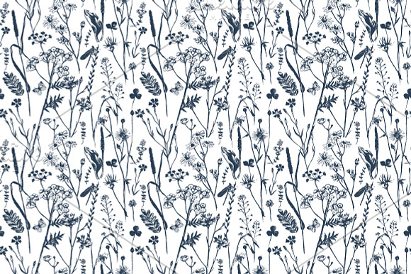 Meadow herbs and flowers in Illustrations - product preview 6