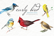 Watercolor Clip Art - Birds