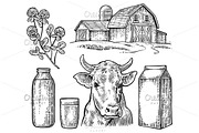 Set Milk farm. Cow clover bottle