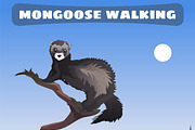 Mongoose walking through Wild West
