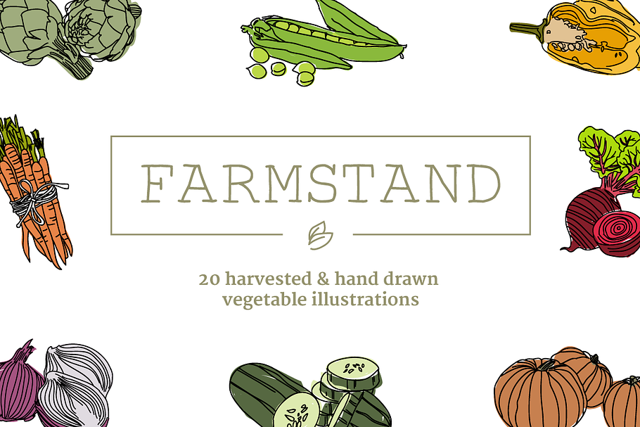 20 Handdrawn Vegetable Illustrations