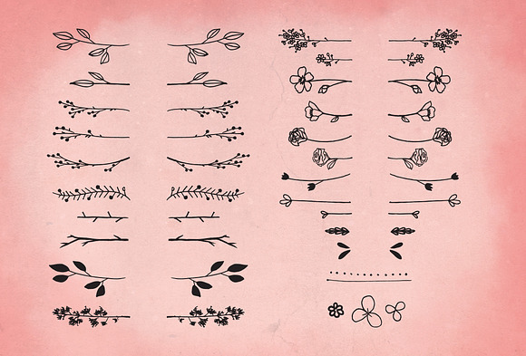 Nature & Floral Illustrator Brushes in Photoshop Brushes - product preview 3