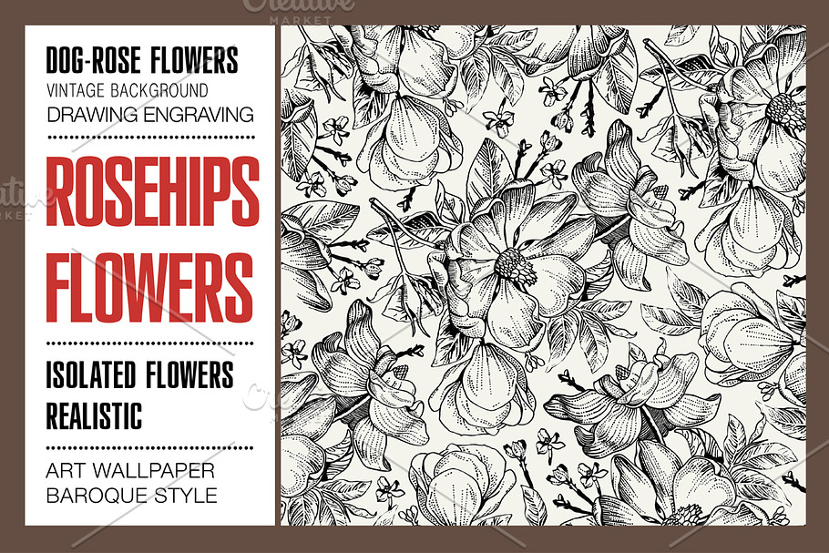 Set Flowers Rosehips Background in Illustrations - product preview 8