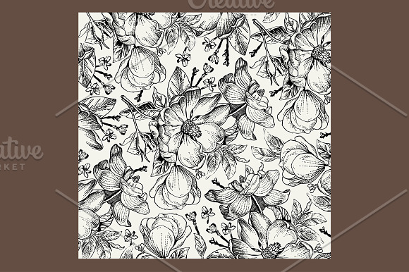 Set Flowers Rosehips Background in Illustrations - product preview 1