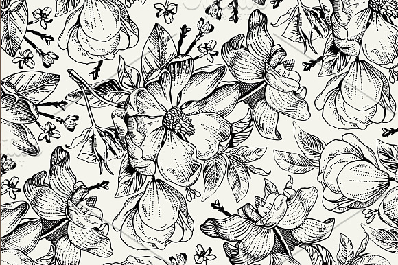 Set Flowers Rosehips Background in Illustrations - product preview 2