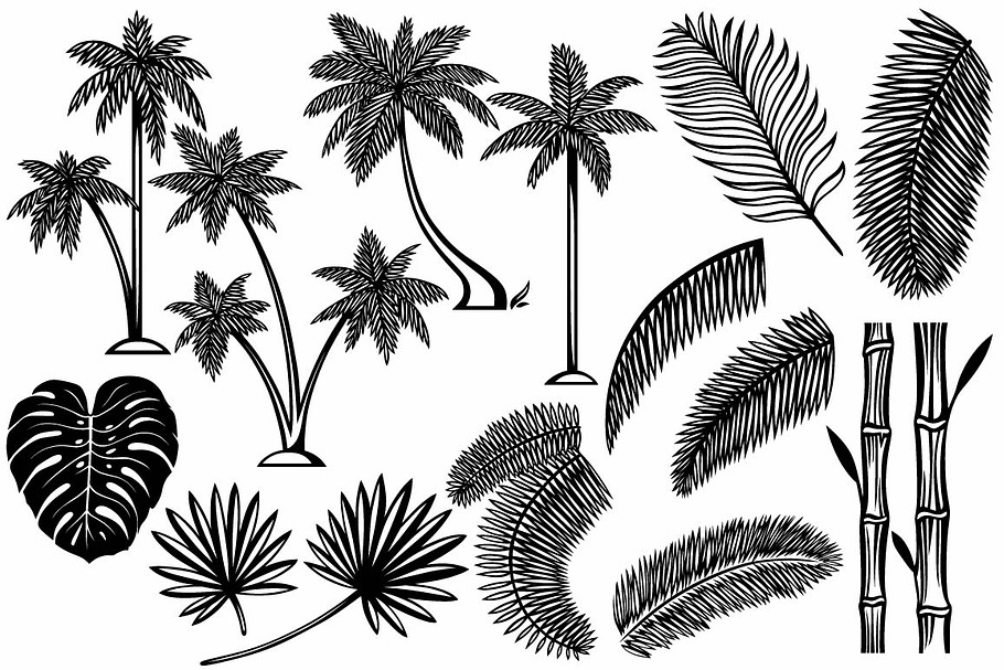 Tropical plants in Black And White Icons - product preview 8