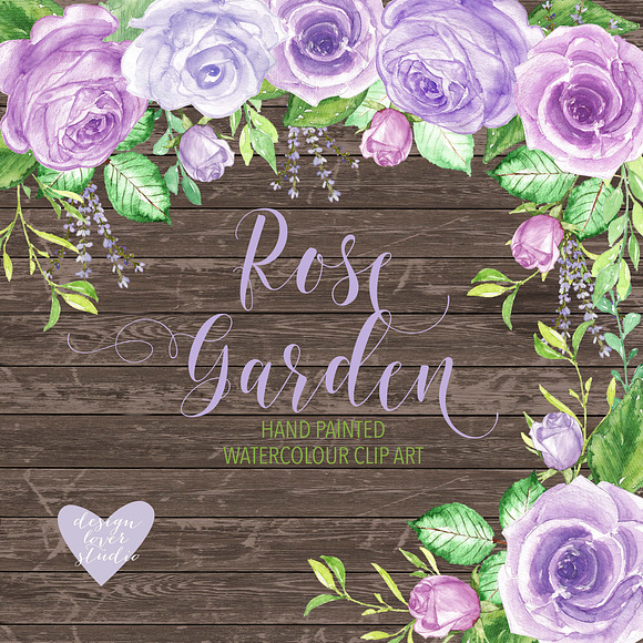 Watercolor purple rose garden II in Illustrations - product preview 1