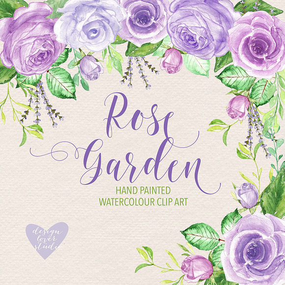 Watercolor purple rose garden II in Illustrations - product preview 2