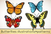 Butterflies patterns+illustrations