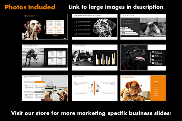 Customer Loyalty PowerPoint in PowerPoint Templates - product preview 2