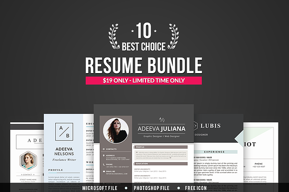 Best Choice Resume Template Bundle in Resume Templates - product preview 1