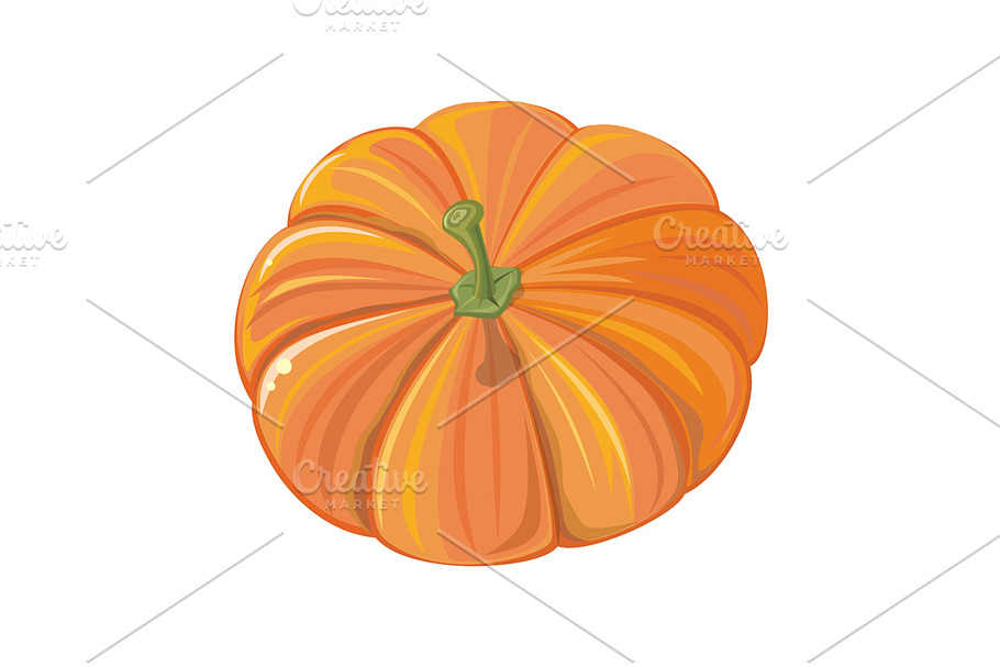 Pumpkin Isolated in Objects - product preview 8