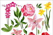 Nature flowers vector set