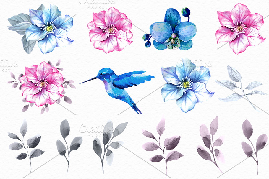 Pink and blue. Watercolor collection