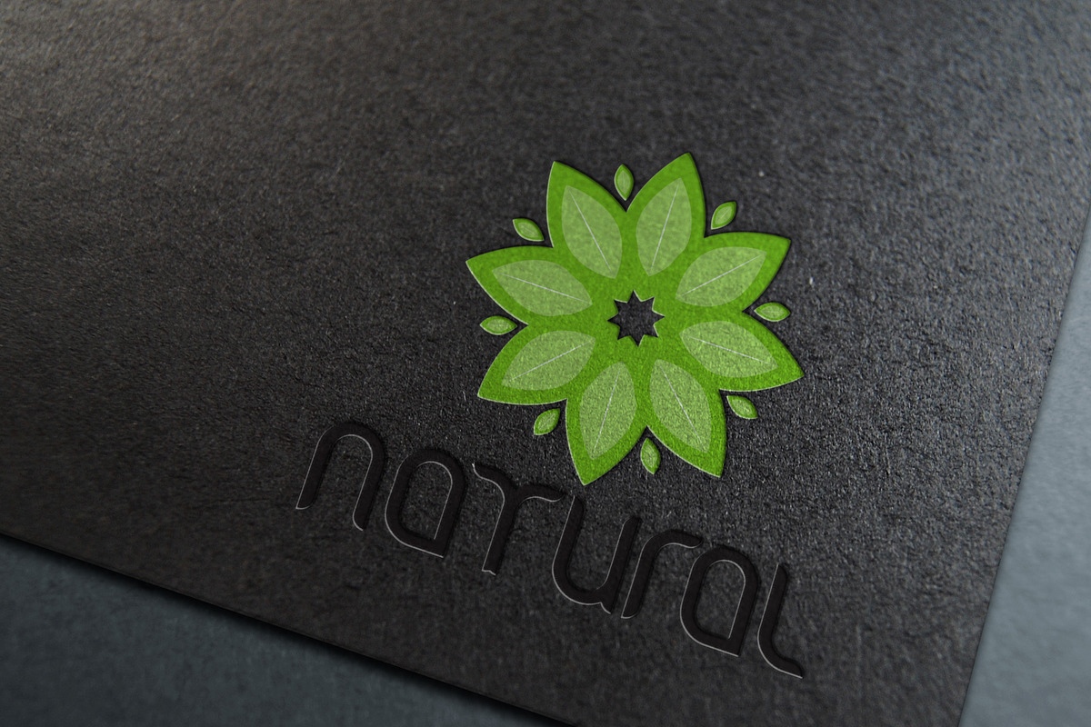 Natural Leaf logo vector in Logo Templates - product preview 8