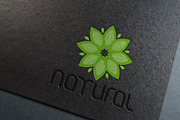 Natural Leaf logo vector