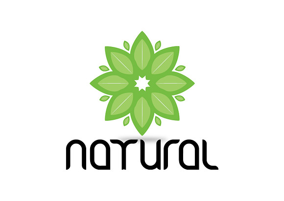 Natural Leaf logo vector in Logo Templates - product preview 1