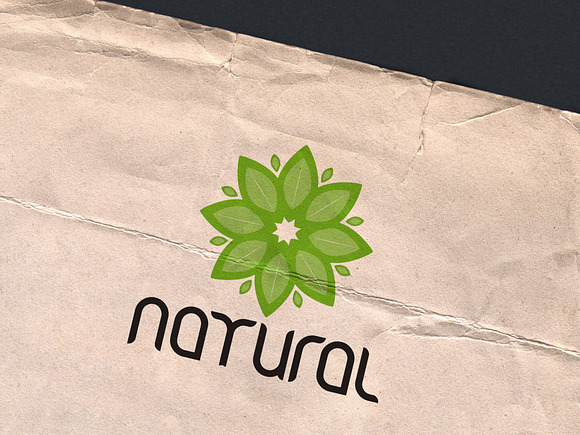 Natural Leaf logo vector in Logo Templates - product preview 2