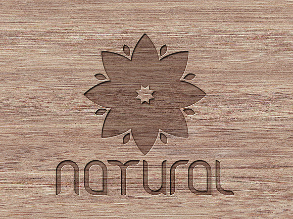 Natural Leaf logo vector in Logo Templates - product preview 4