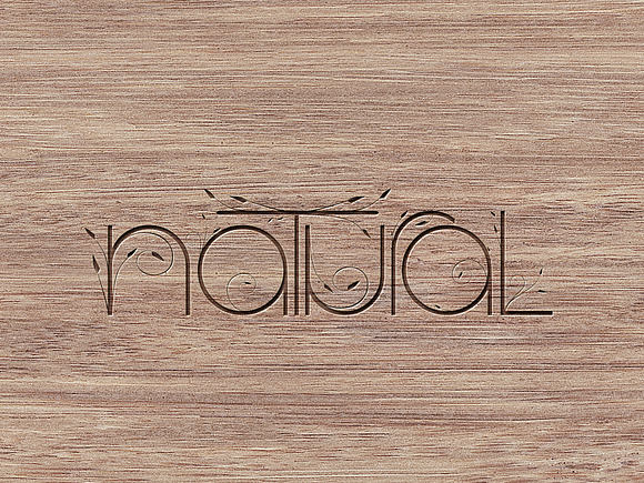 natural text logo vector in Logo Templates - product preview 3