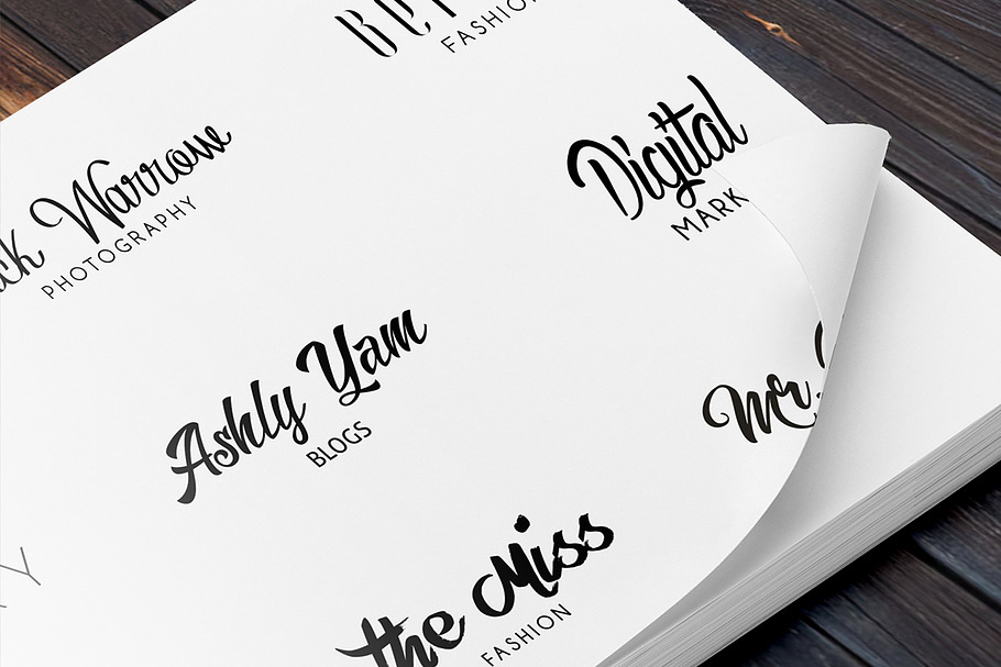 Paris Luxe Typography Logo in Logo Templates - product preview 8