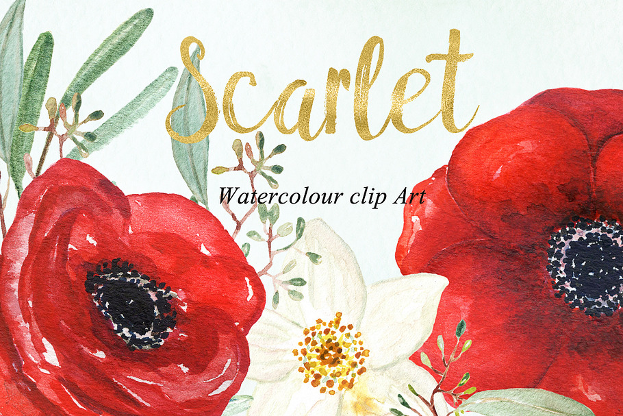 Anemones scarlet Watercolour clipart