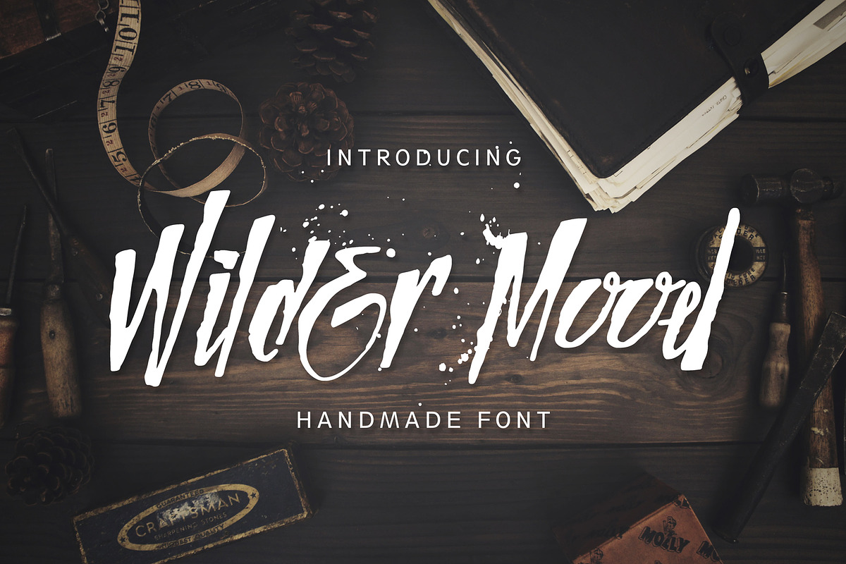 Wilder Mood in Display Fonts - product preview 8