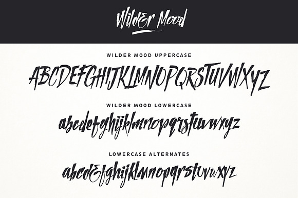 Wilder Mood in Display Fonts - product preview 2