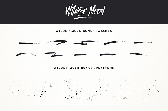 Wilder Mood in Display Fonts - product preview 3