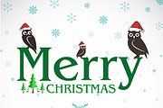 Merry christmas greeting owl card.