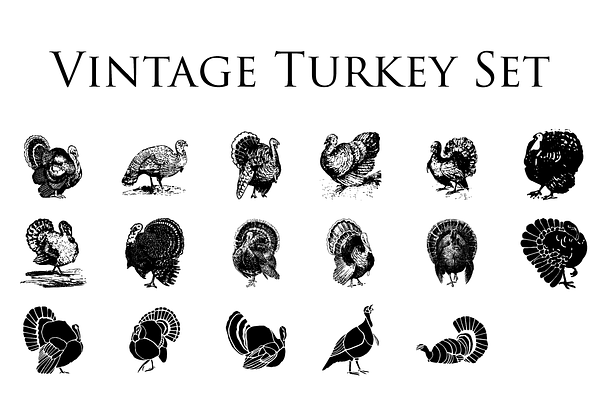 Vintage Turkey Clipart