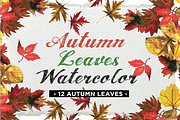 Autumn Leaves Watercolor Icons
