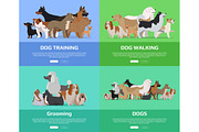 Dog Walking, Training, Grooming