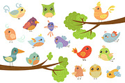 Birds on Different Branches