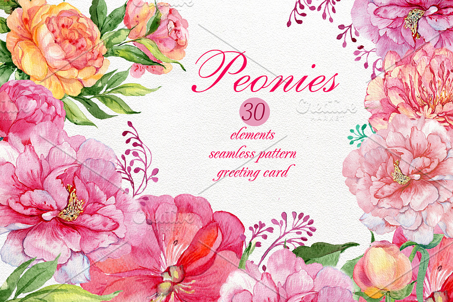 watercolor clipart /flowers peonies in Illustrations - product preview 8