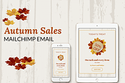 Autumn Sales Mailchimp Eblast