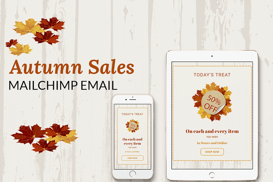 Autumn Sales Mailchimp Eblast in Mailchimp Templates - product preview 8