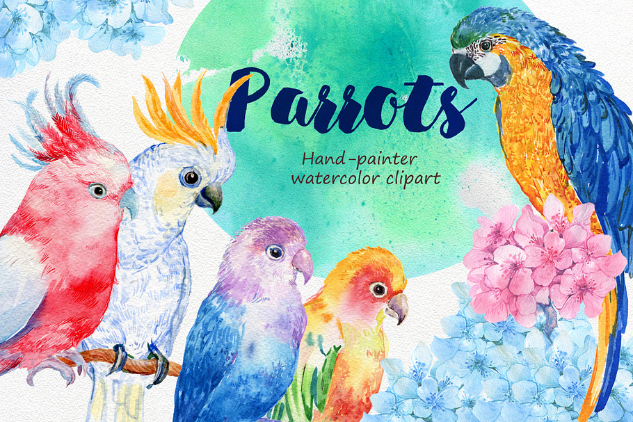 6 birds parrots watercolor