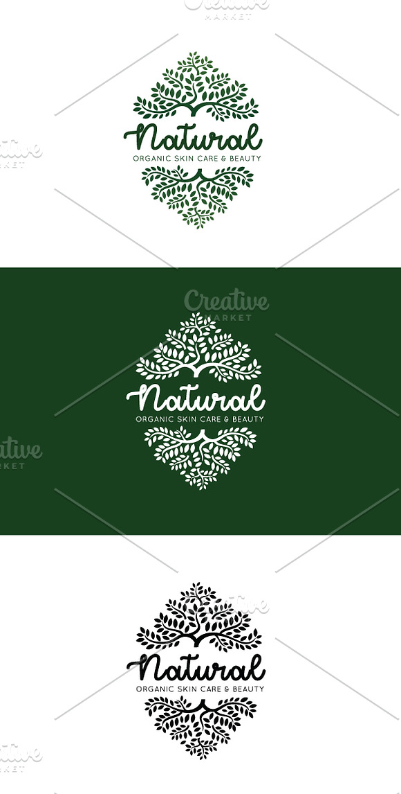 Natural Organic Logo in Logo Templates - product preview 1