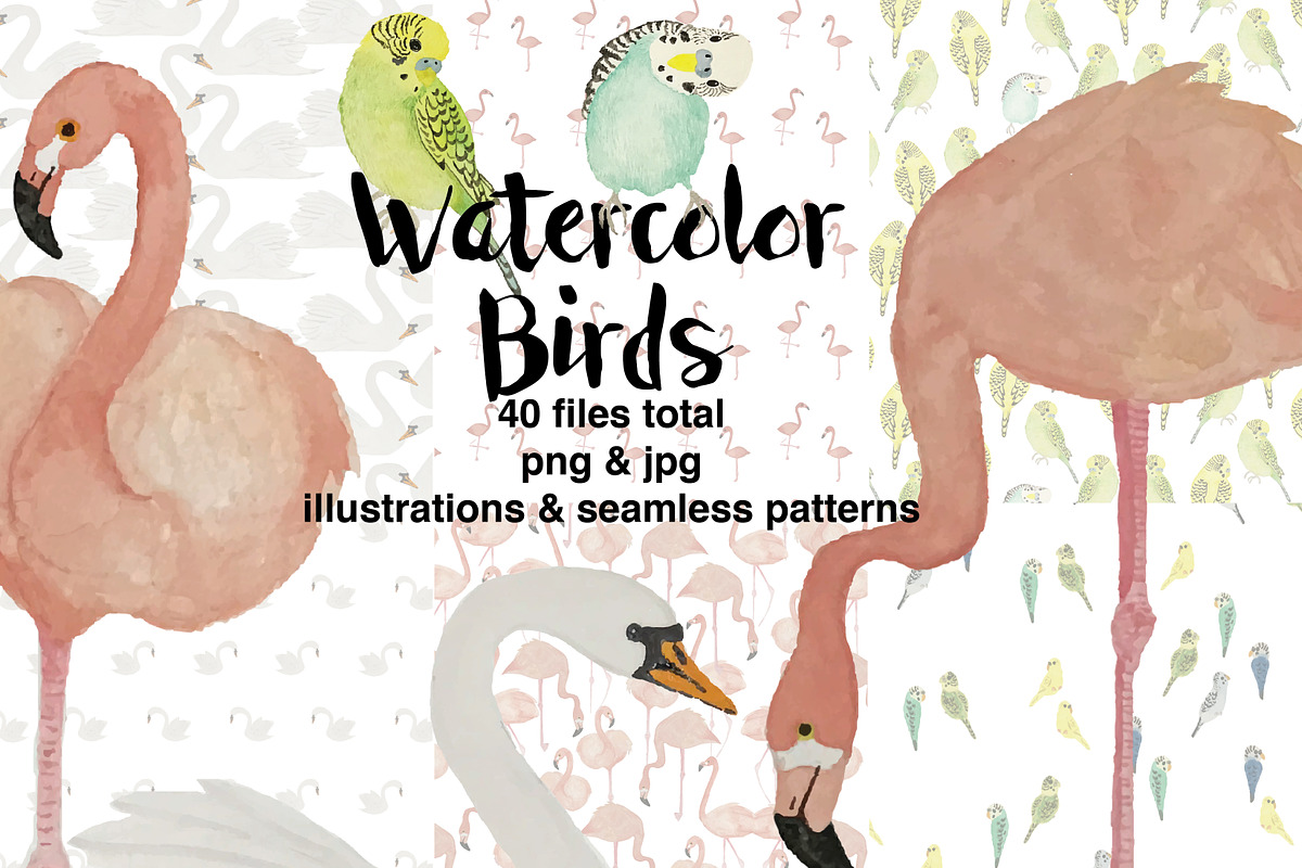 Watercolor Birds in Patterns - product preview 8