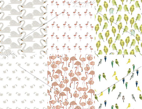Watercolor Birds in Patterns - product preview 2