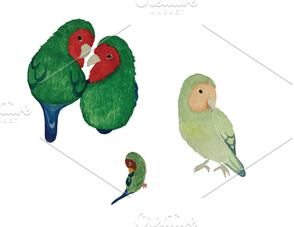 Watercolor Birds in Patterns - product preview 4