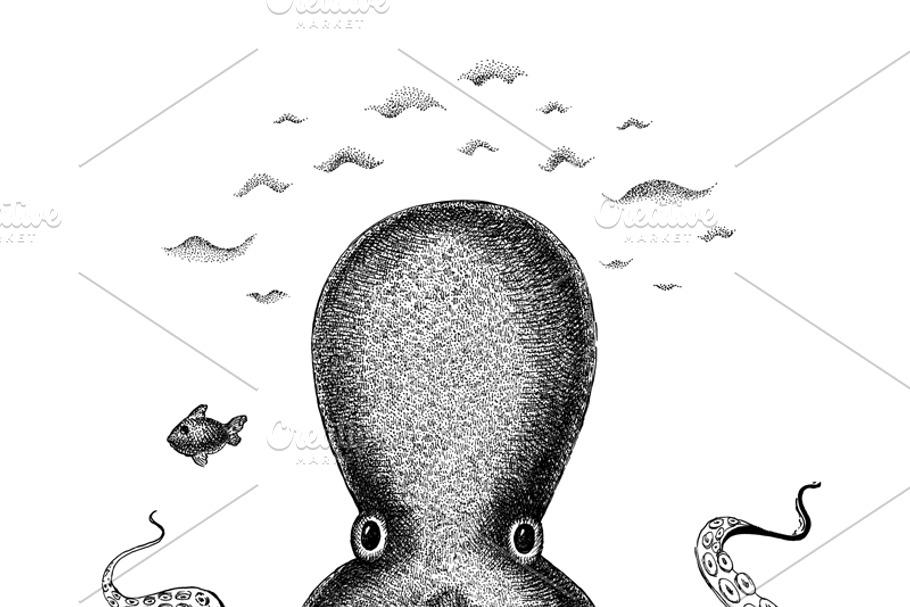 Octopus in Illustrations - product preview 8