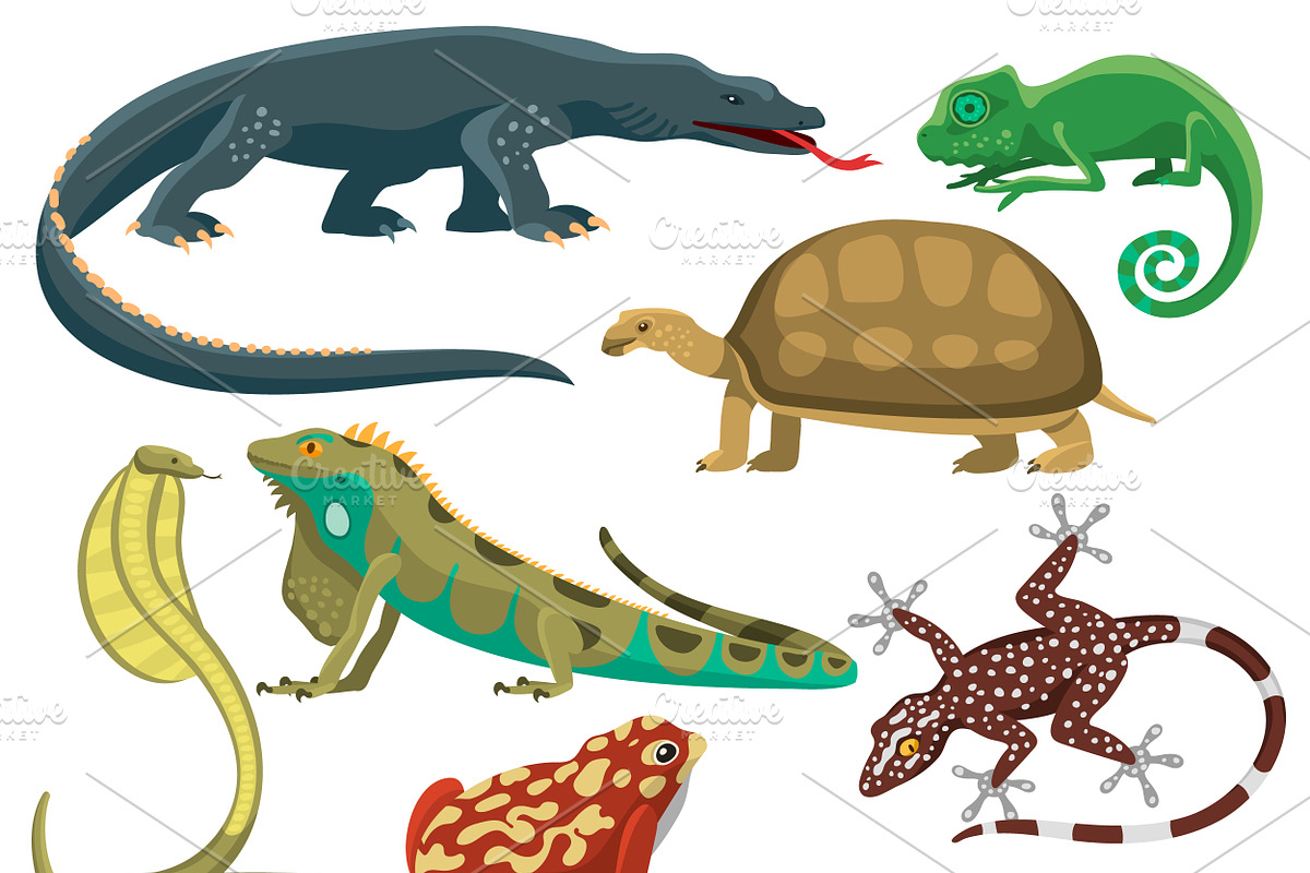 Reptile and amphibian vector set in Illustrations - product preview 8