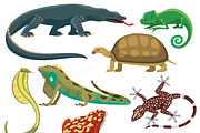 Reptile and amphibian vector set