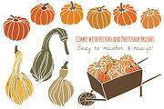 Pumpkins & Gourds Clip Art
