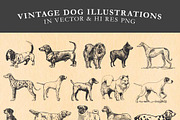Vintage Dog Illustrations Vector